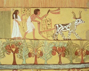 Sennedjem och hans hustru på fälten, sående och plöjande, från Sennedjems grav, Arbetarbyn, Nya riket